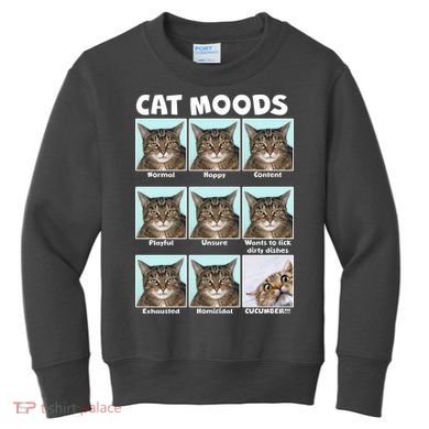 Cat Moods Funny Meme Kids Sweatshirt