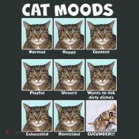 Cat Moods Funny Meme Kids Sweatshirt thumb 2