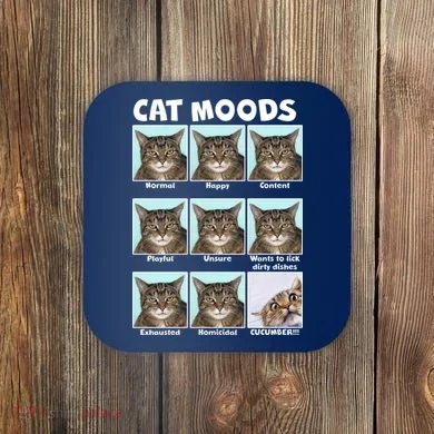 Coaster