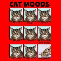 Cat Moods Funny Meme Santa Hat thumb 1