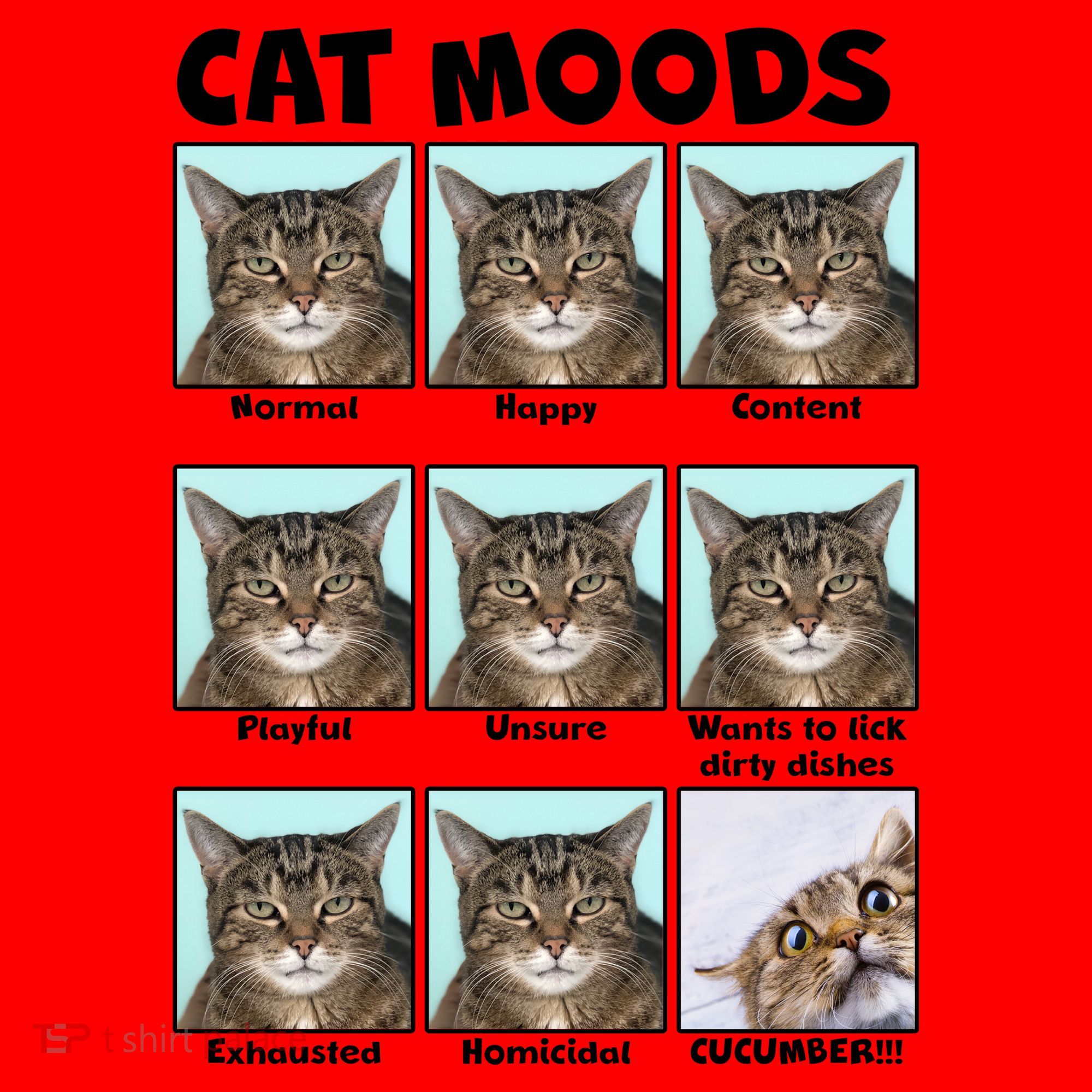 Cat Moods Funny Meme Santa Hat