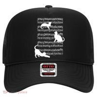 Cat Music Note Sheet Hat thumb 0
