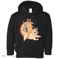Cat Riding Unidog Funny Dog Unicorn Toddler Hoodie thumb 0
