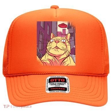 Cat Selfie Funny Hat