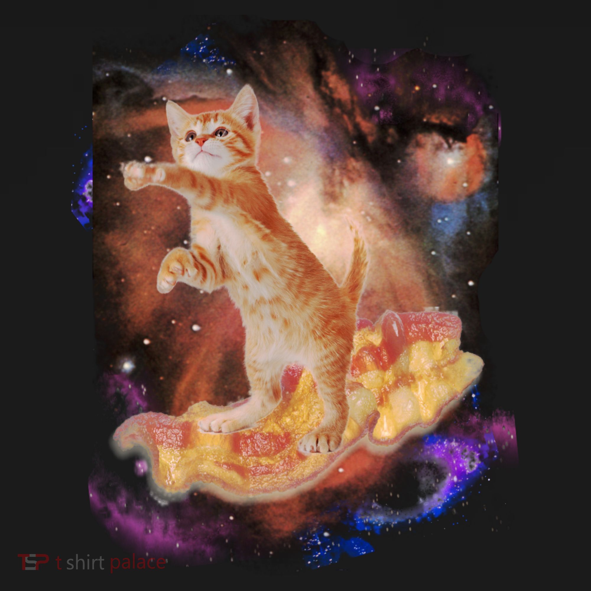 Cat Surfing Bacon In Space Hoodie