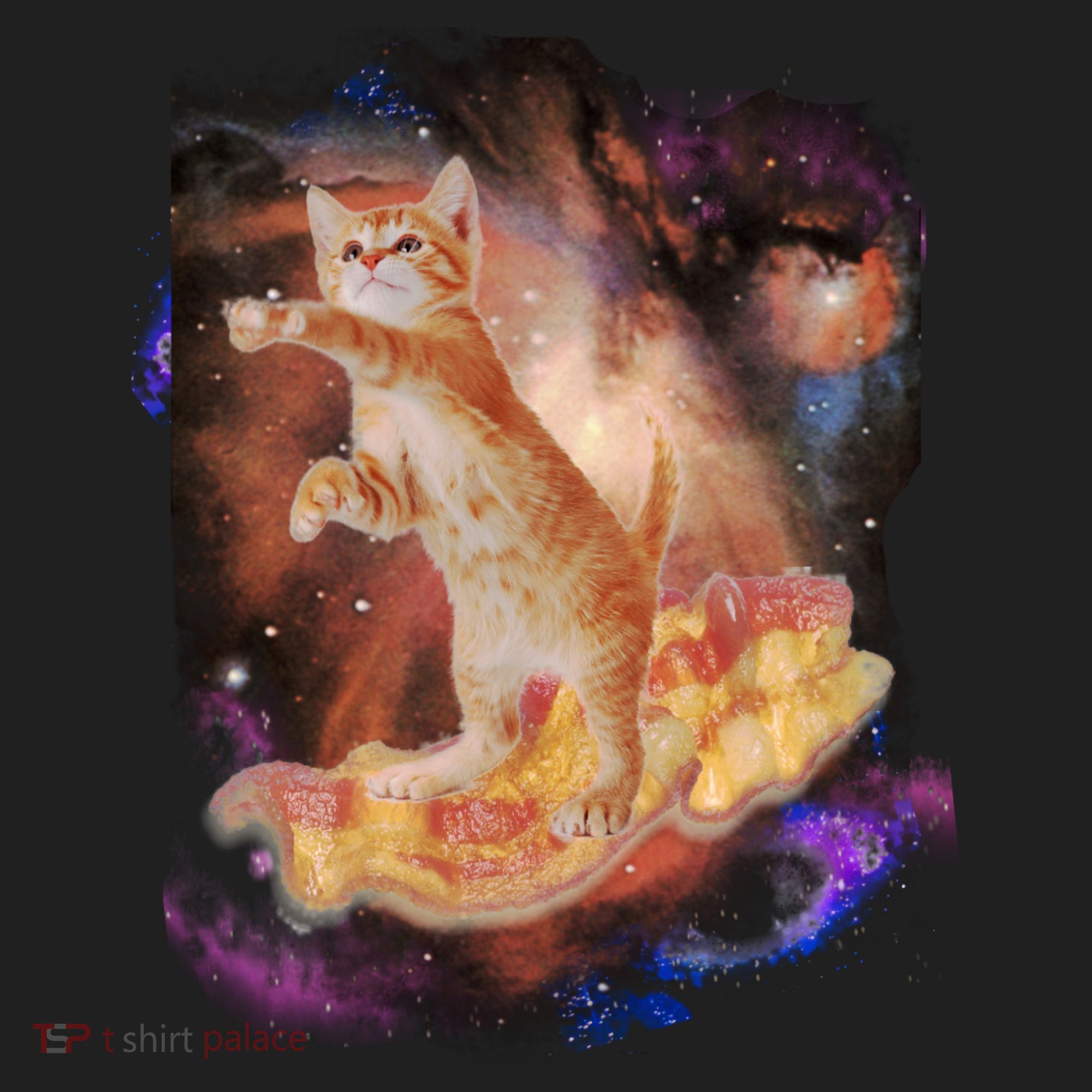 Cat Surfing Bacon In Space Tumbler