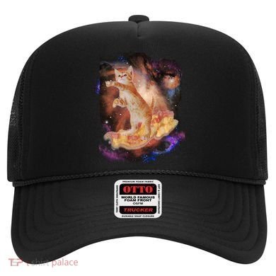 Cat Surfing Bacon In Space Hat