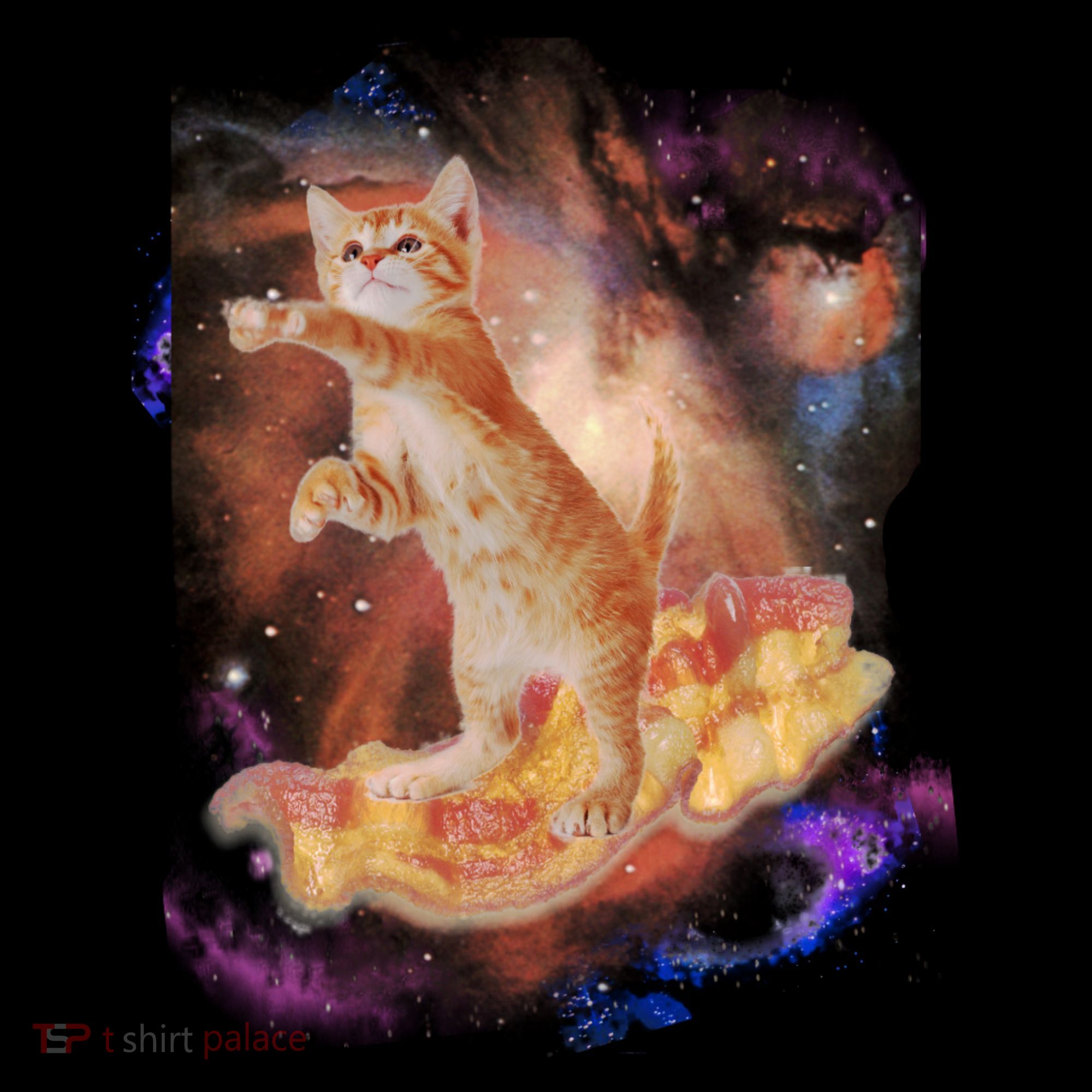 Cat Surfing Bacon In Space Tote Bag
