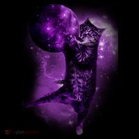 Cat World Galaxy Sweatshirt thumb 3