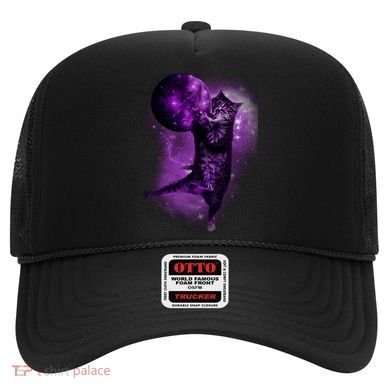 Cat World Galaxy Hat