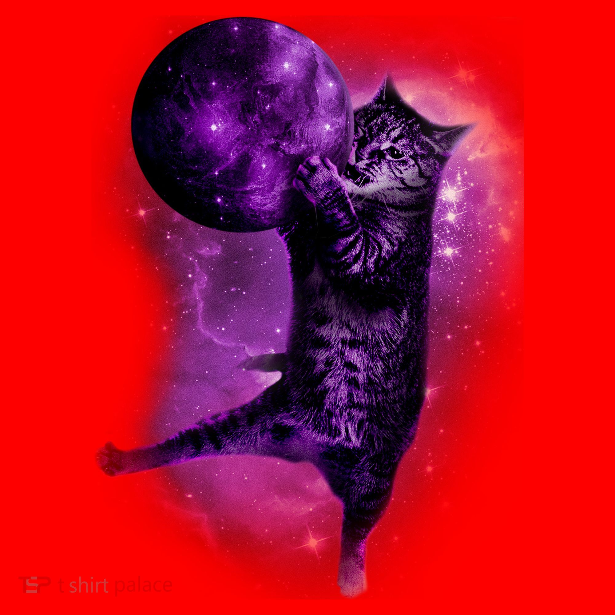 Cat World Galaxy Santa Hat