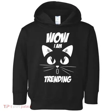 Toddler Hoodie