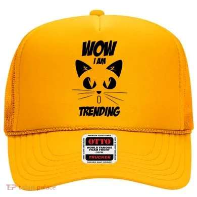 Cat Wow I'm Trending Hat