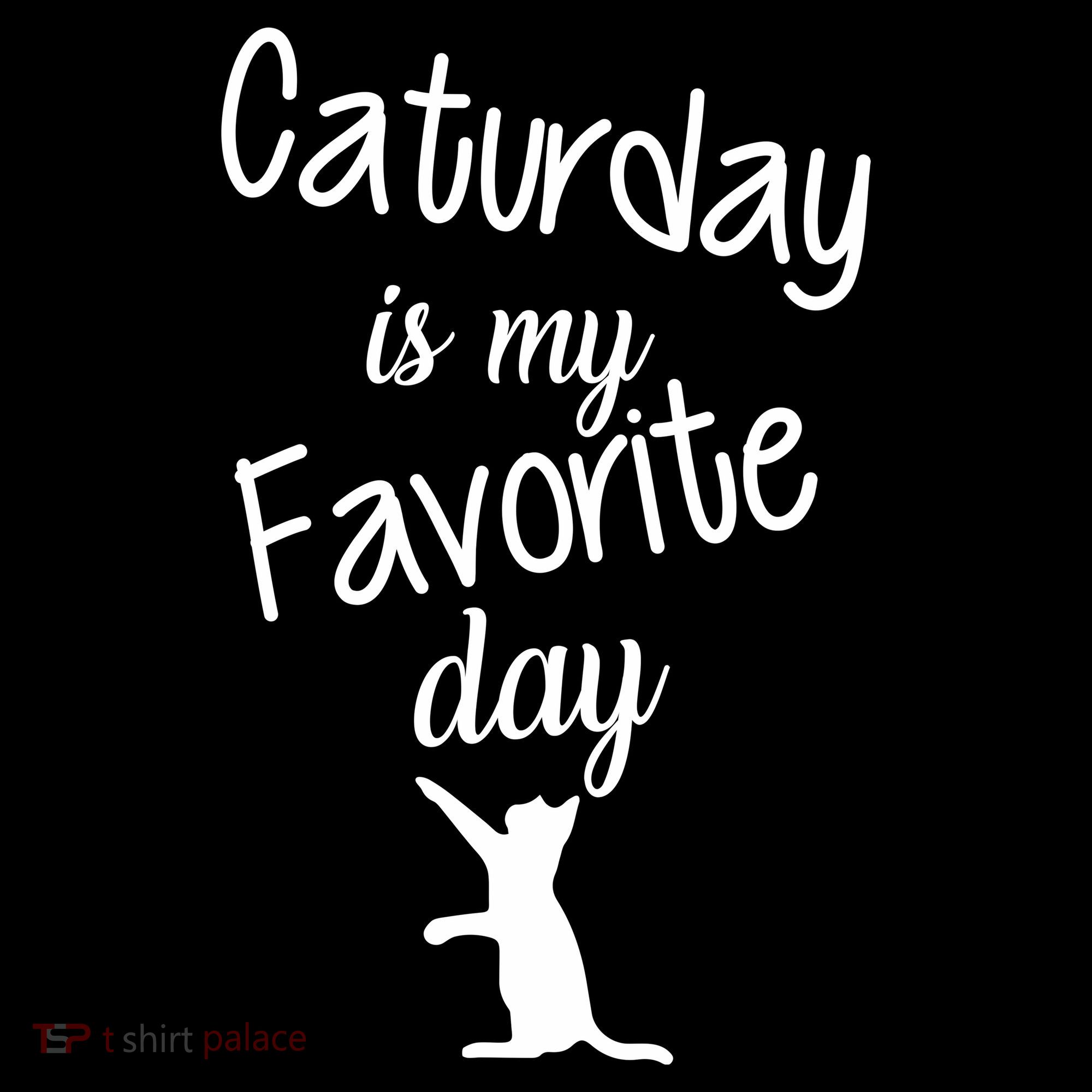 Caturday Is My Favorite Day Coaster