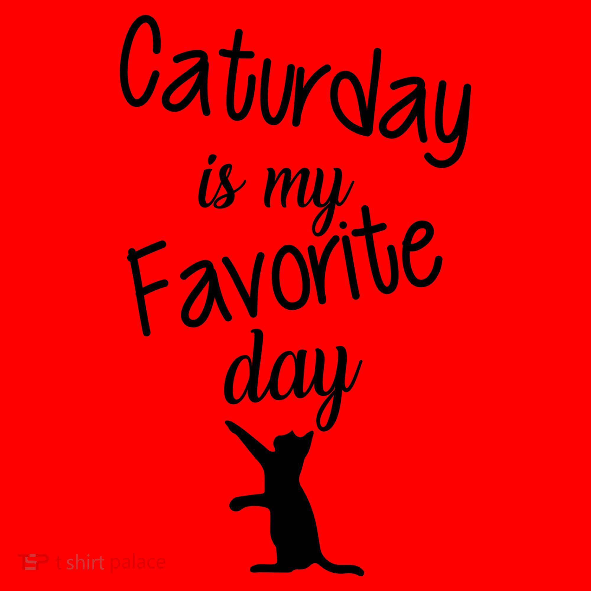 Caturday Is My Favorite Day Santa Hat