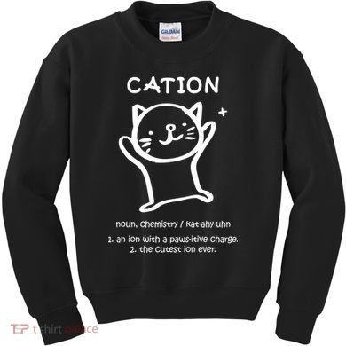 Cation Definition Ion Paws-itive Charge Kids Sweatshirt