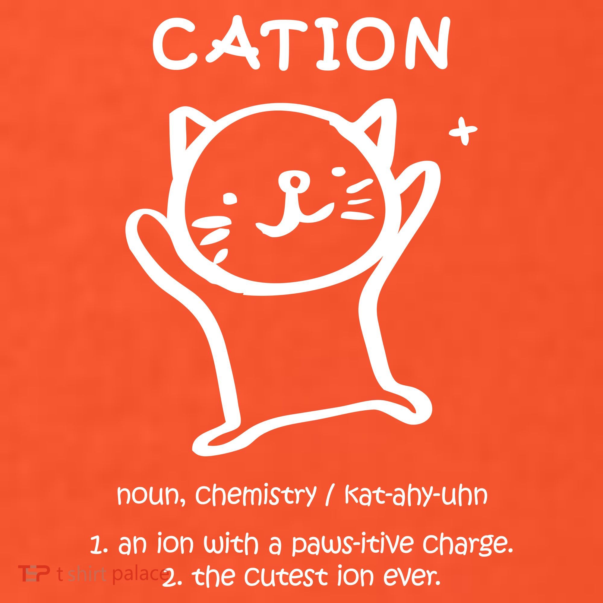 Cation Definition Ion Paws-itive Charge Coaster