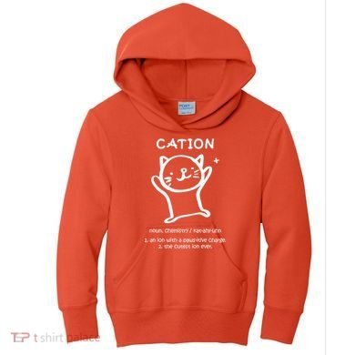 Cation Definition Ion Paws-itive Charge Kids Hoodie