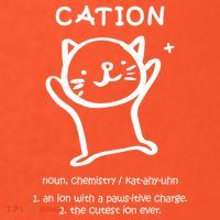 Cation Definition Ion Paws-itive Charge Kids Hoodie thumb 2