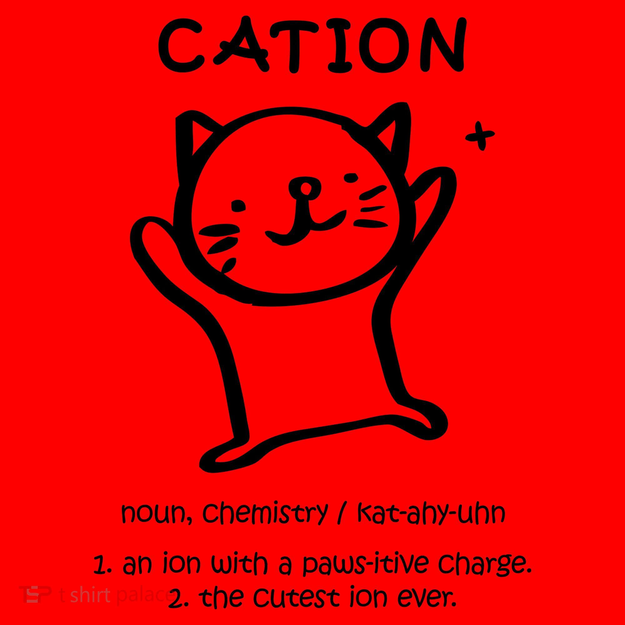 Cation Definition Ion Paws-itive Charge Santa Hat