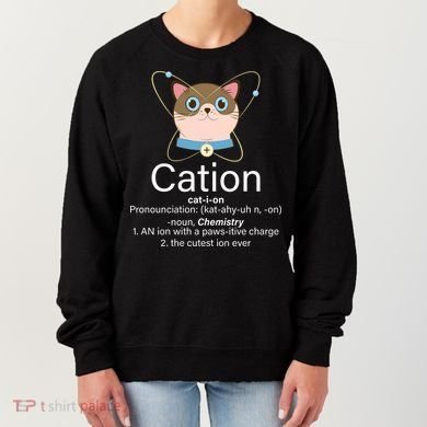 Cation Science Joke Funny Women's Sweatshirt