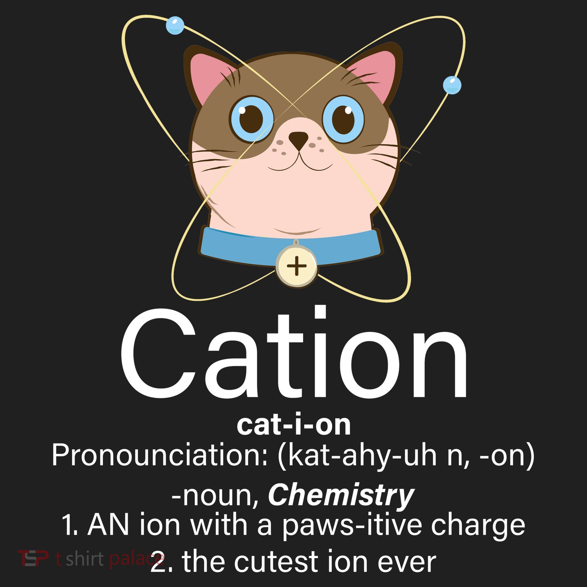 Cation Science Joke Funny Women's Sweatshirt
