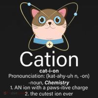 Cation Science Joke Funny USA-Made Doggie Bandana thumb 2