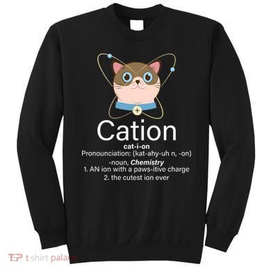 Cation Science Joke Funny Sweatshirt