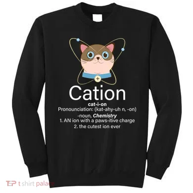 Cation Science Joke Funny Sweatshirt