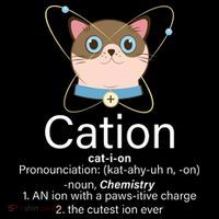 Cation Science Joke Funny Backpack thumb 2