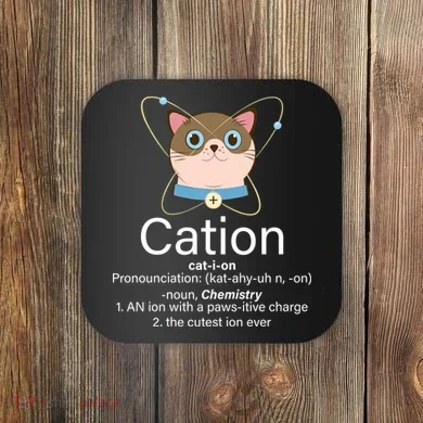 Cation Science Joke Funny Coaster
