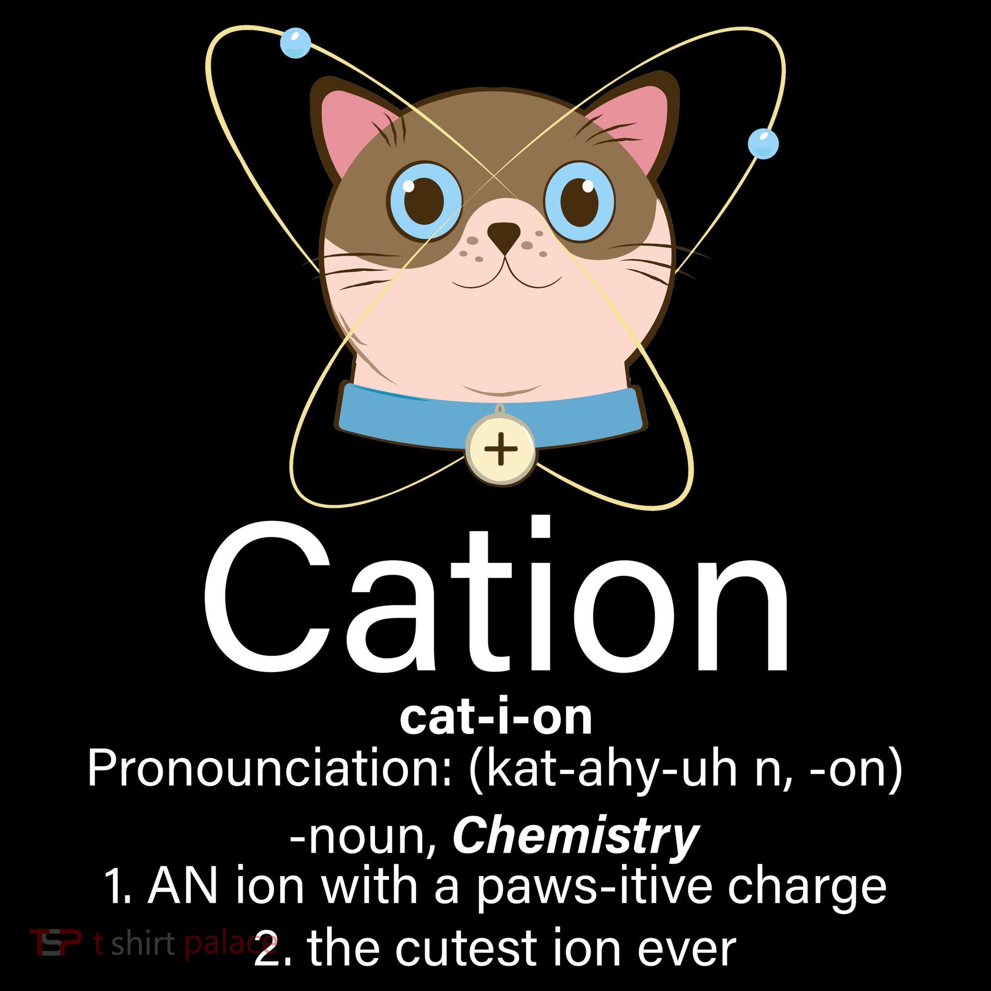 Cation Science Joke Funny Women's Hoodie