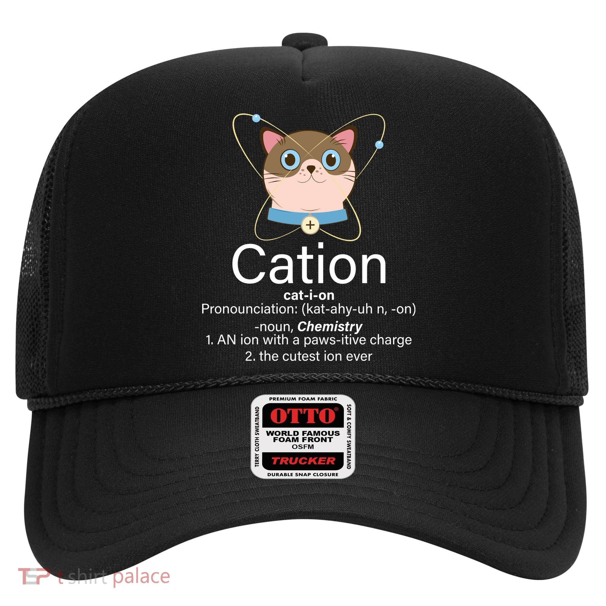 Cation Science Joke Funny Hat