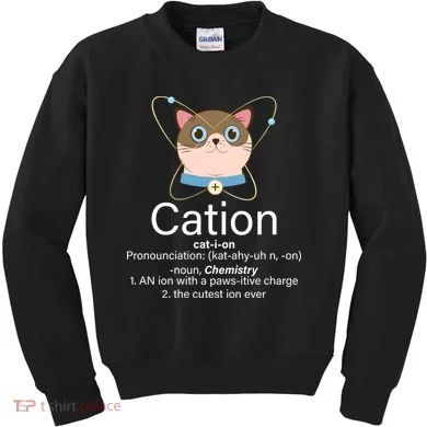 Cation Science Joke Funny Kids Sweatshirt