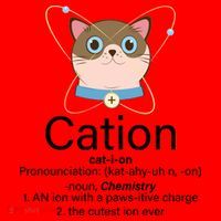 Cation Science Joke Funny Santa Hat thumb 1