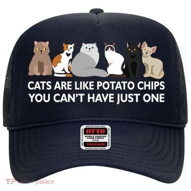 Cats Are Like Potato Chips Hat