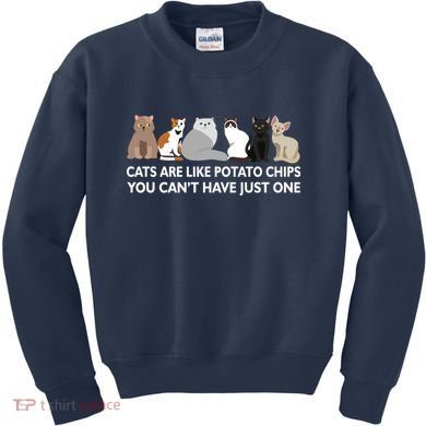 Cats Are Like Potato Chips Kids Sweatshirt