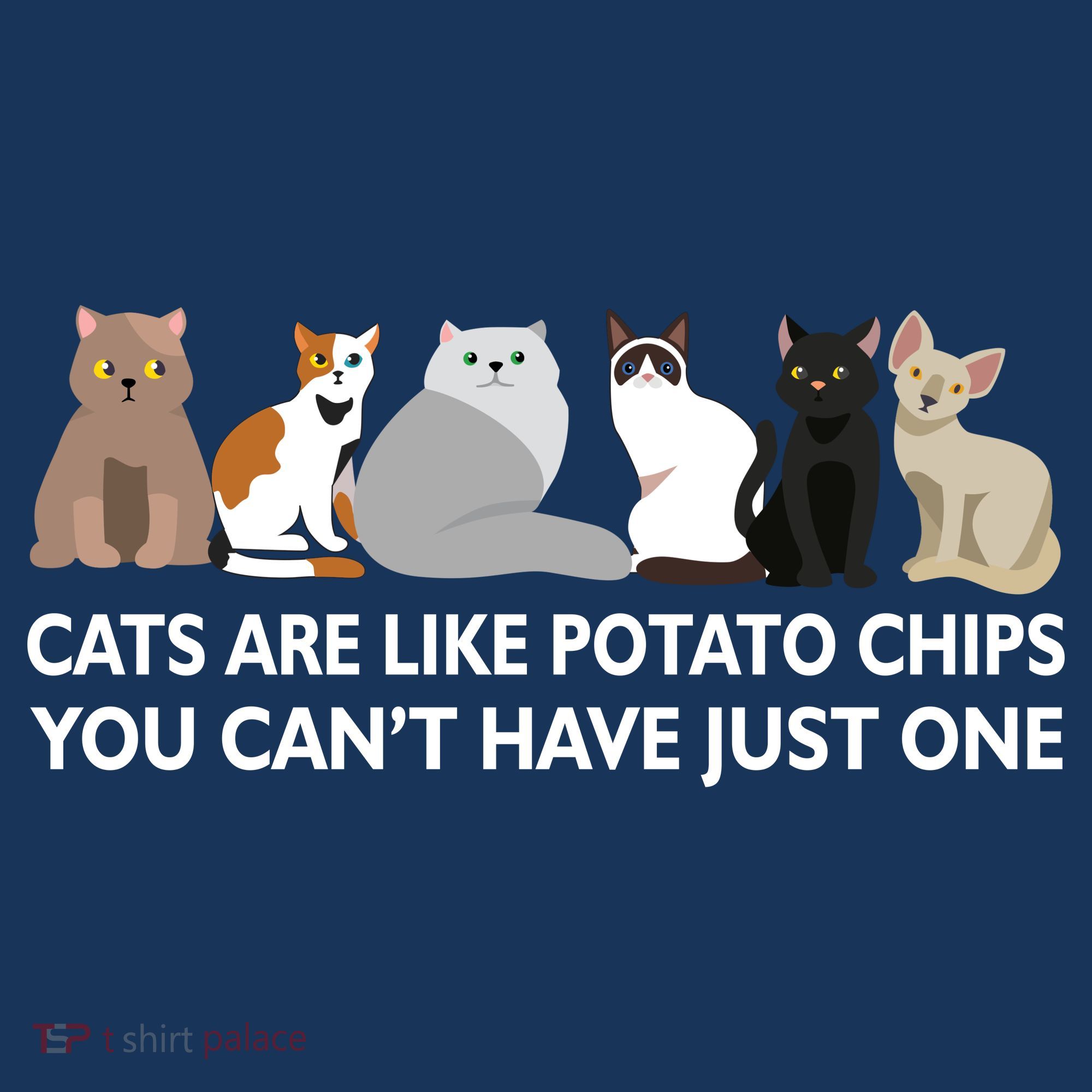 Cats Are Like Potato Chips Kids Sweatshirt