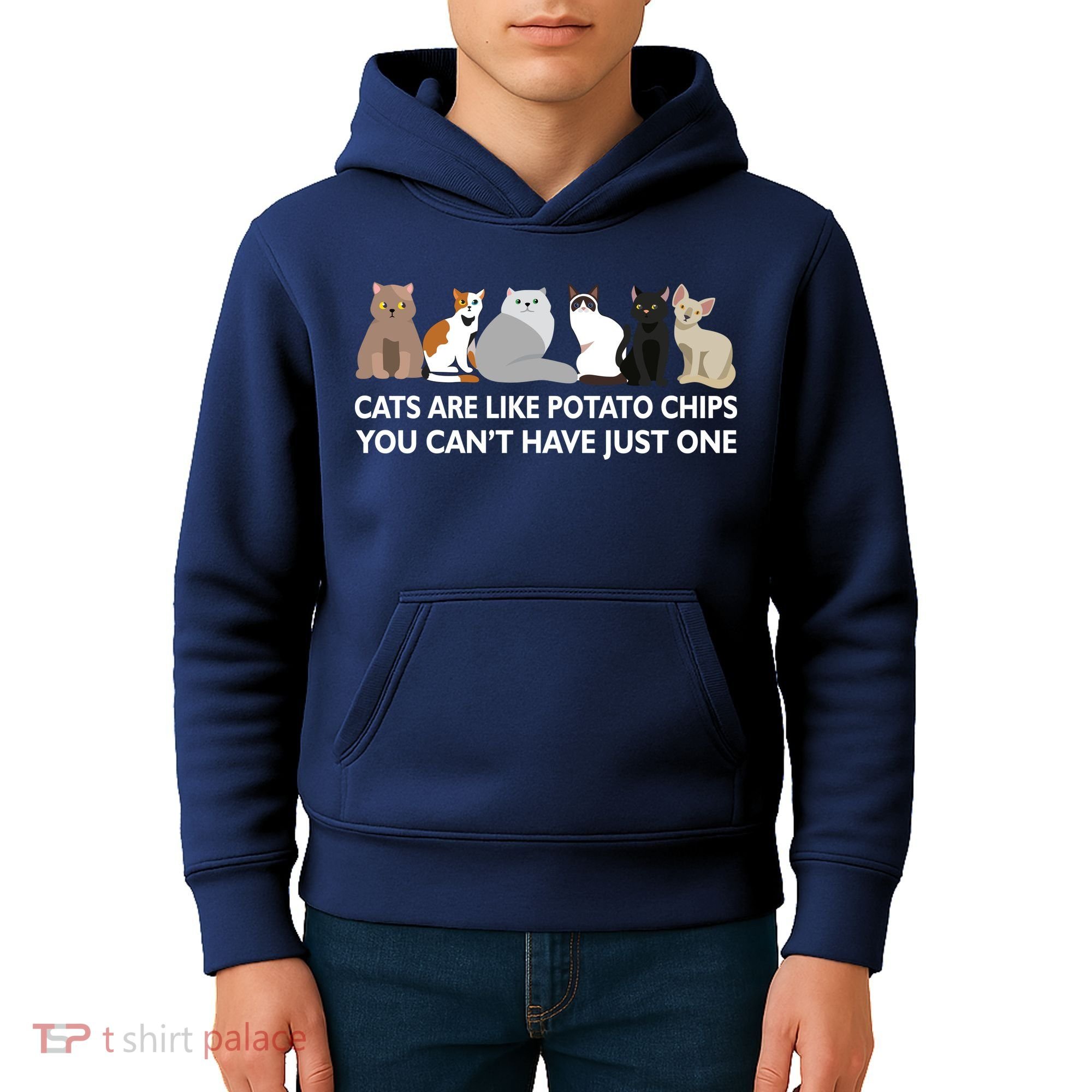 Cats Are Like Potato Chips Kids Hoodie