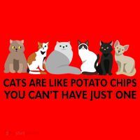 Cats Are Like Potato Chips Santa Hat thumb 1