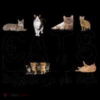 Cats Because People Suck Coffee Mug thumb 5