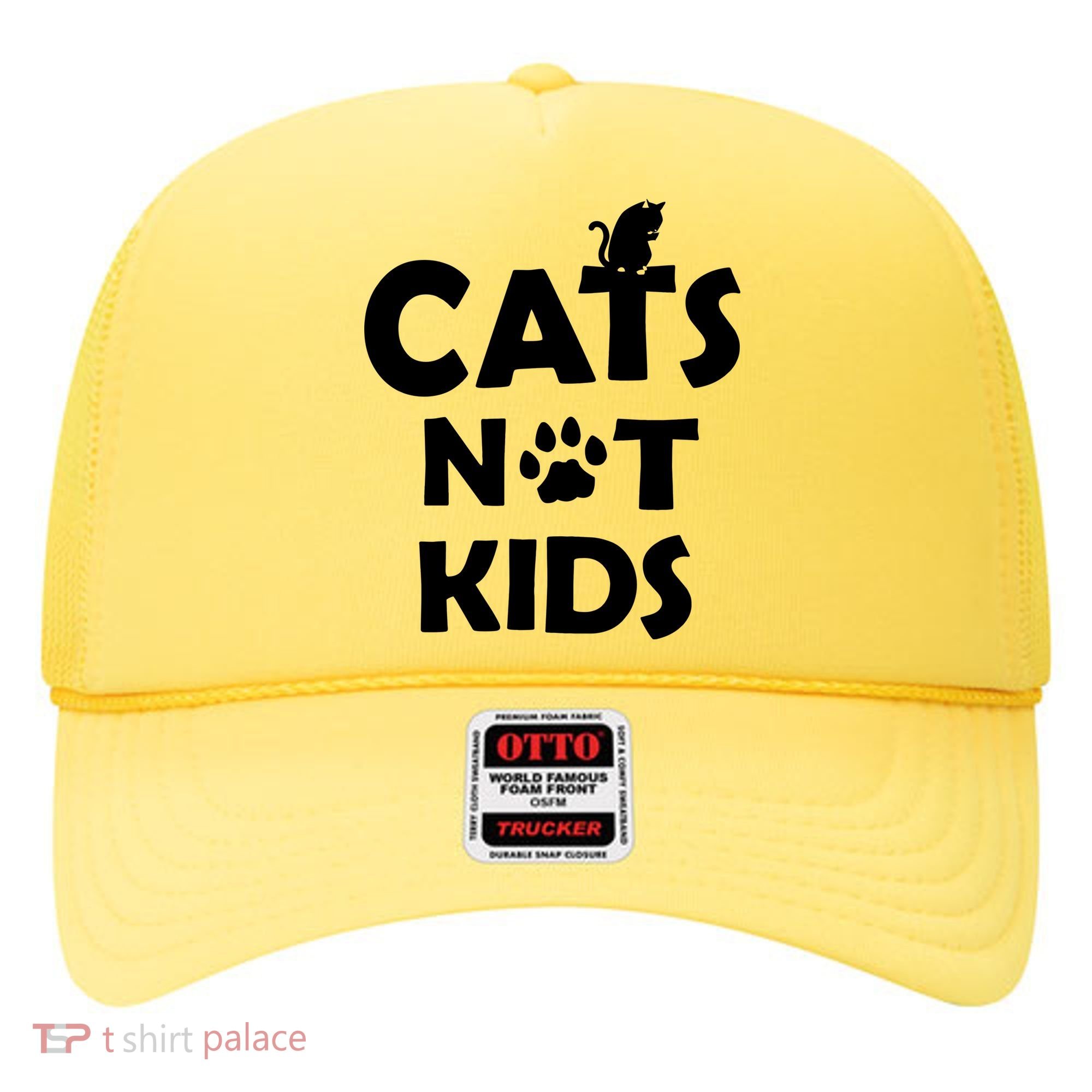 Cats Not Kids Hat