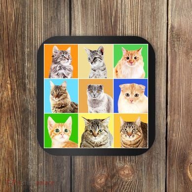 Cats Photo Portraits Collage Coaster