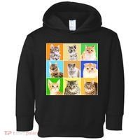 Cats Photo Portraits Collage Toddler Hoodie thumb 0