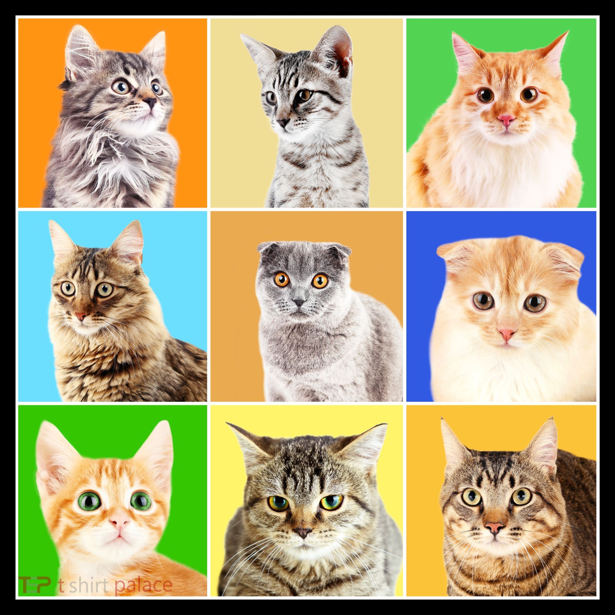 Cats Photo Portraits Collage Toddler Hoodie