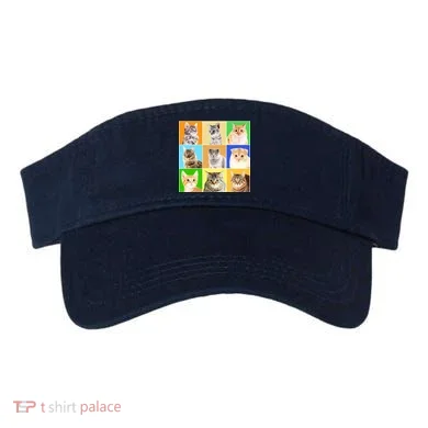 Visor
