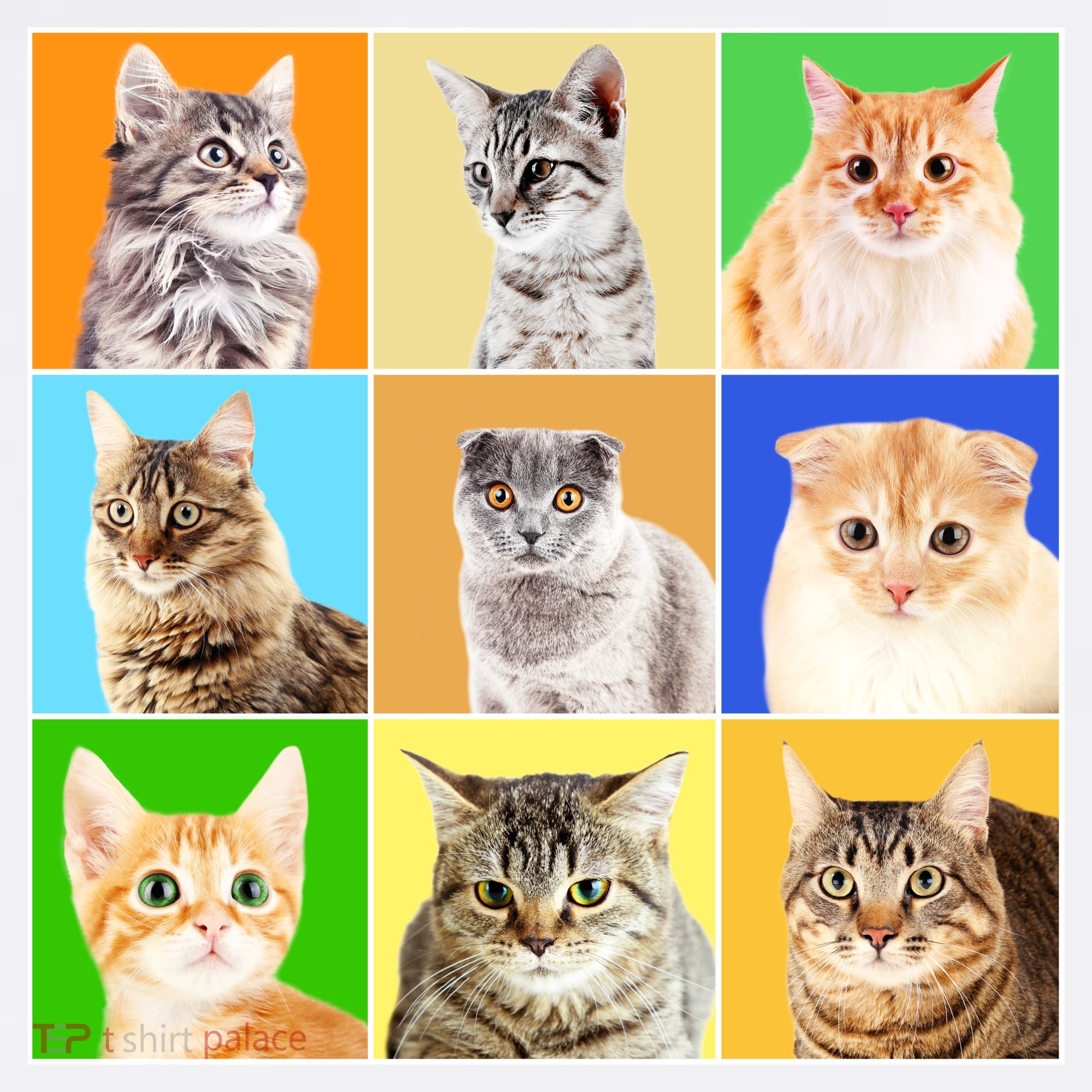 Cats Photo Portraits Collage Long Sleeve Shirt