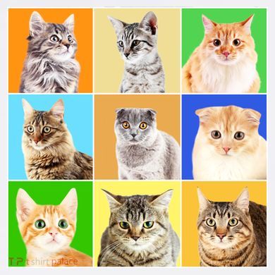 Cats Photo Portraits Collage Cropped Pullover Crew