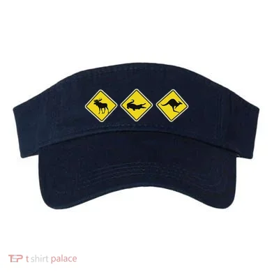 Visor