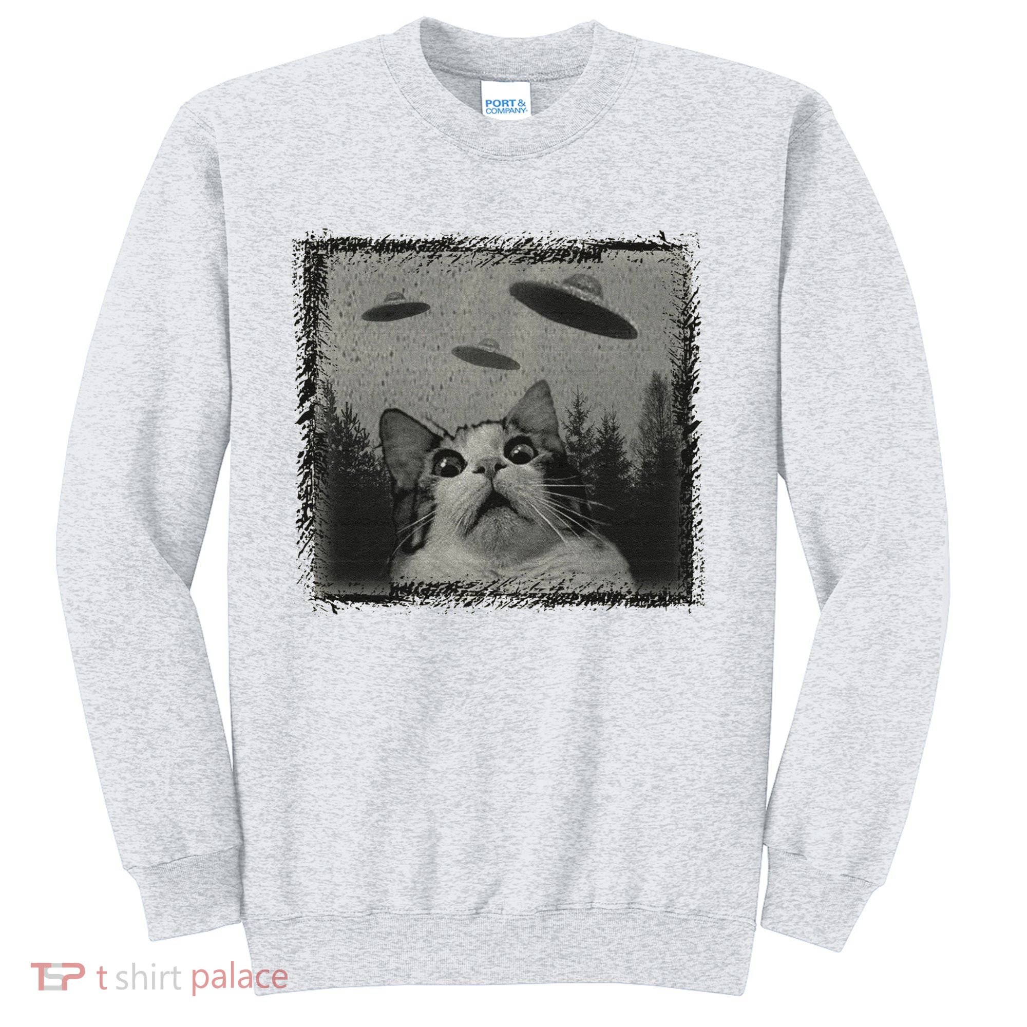 Cat And UFOs Funny Cat Lover Funny Cute Cat Meme Sweatshirt